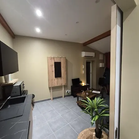 Terrasse Couverte Et Bbq - Petite Maison Cosy Magnet